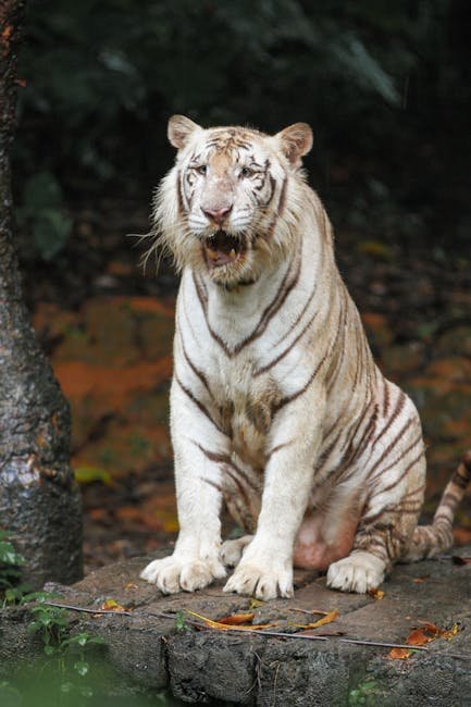 The Perils of Poaching (image credits: pexels)