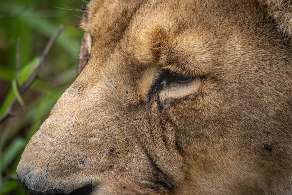 The Importance of Legal Protections (image credits: pexels)