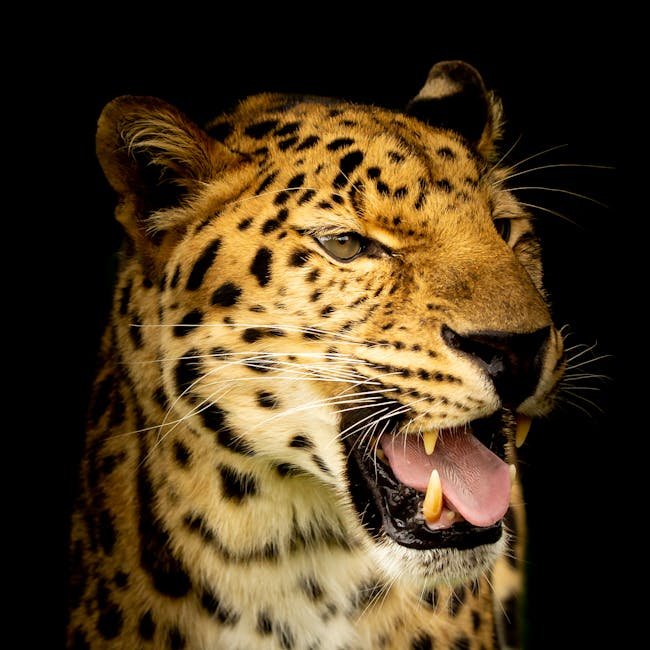The Role of Captive Breeding Programs (image credits: pexels)
