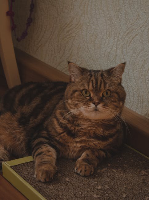 8. Frequent Attempts to Escape (image credits: pexels)