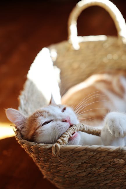 Understanding the Importance of Spaying and Neutering (image credits: pexels)