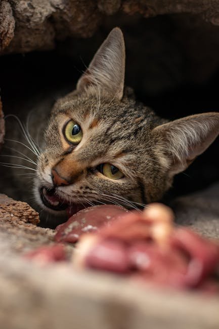 Insect Interceptors: Beyond Mice and Rats (image credits: pexels)