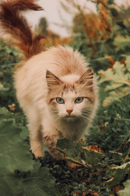 A Non-Toxic Solution: Eco-Friendly Pest Control (image credits: pexels)
