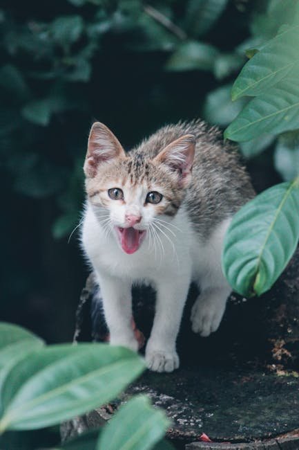 Bonding Through Play: Simulating Hunting Scenarios (image credits: pexels)