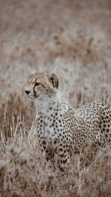 Dietary Influences on Habitat Preference (image credits: pexels)