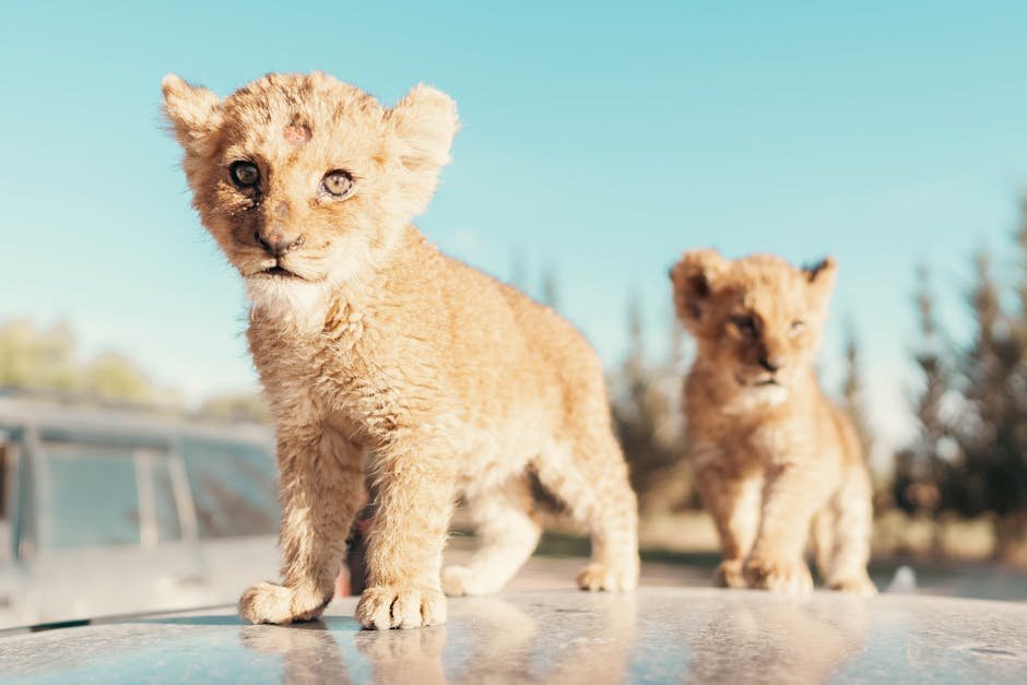 Instilling a Sense of Curiosity (image credits: pexels)