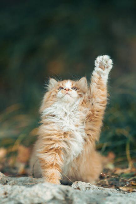 The Power of Play (image credits: pexels)
