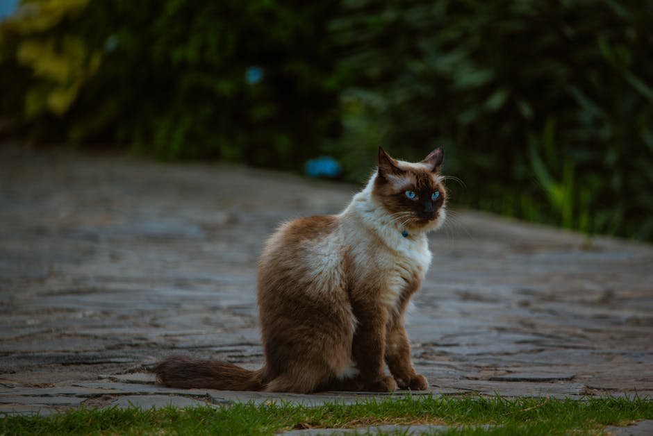 The Importance of a Suitable Environment (image credits: pexels)