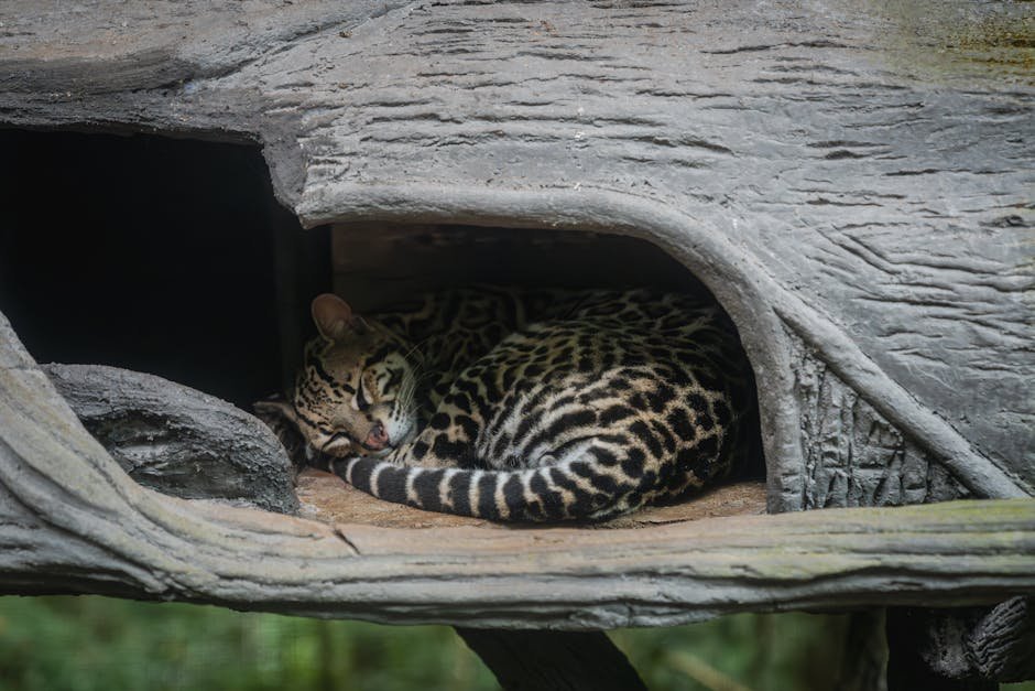 Innovative Breeding Programs (image credits: pexels)