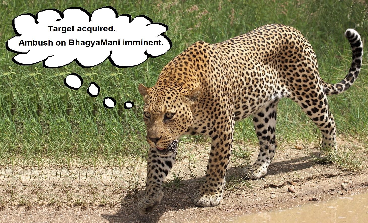 Leveraging Height Advantage (image credits: wikimedia)
