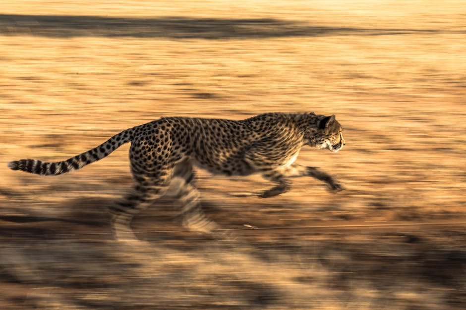Impressive Speed and Agility (image credits: pexels)