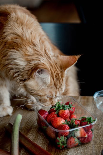 Natural Instincts Shape Behavior (image credits: pexels)