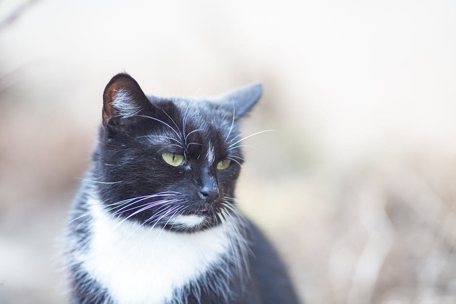 Environmental Factors Influence Behavior (image credits: pexels)
