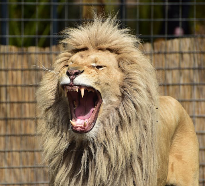 Vocalizations as a Communication Tool (image credits: pexels)