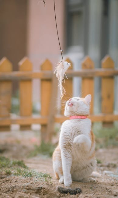 Preventing Behavioral Issues (image credits: pexels)