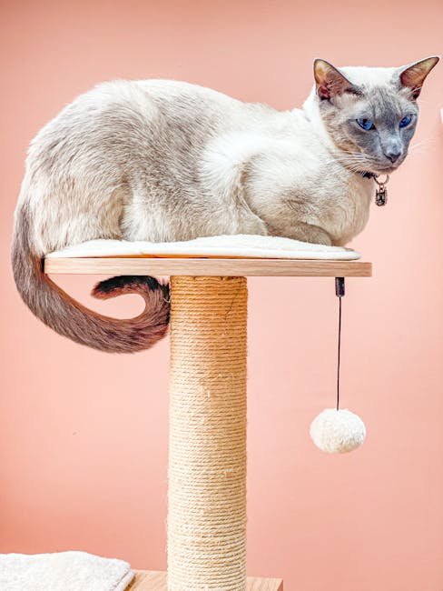 The Role of Catnip (image credits: pexels)