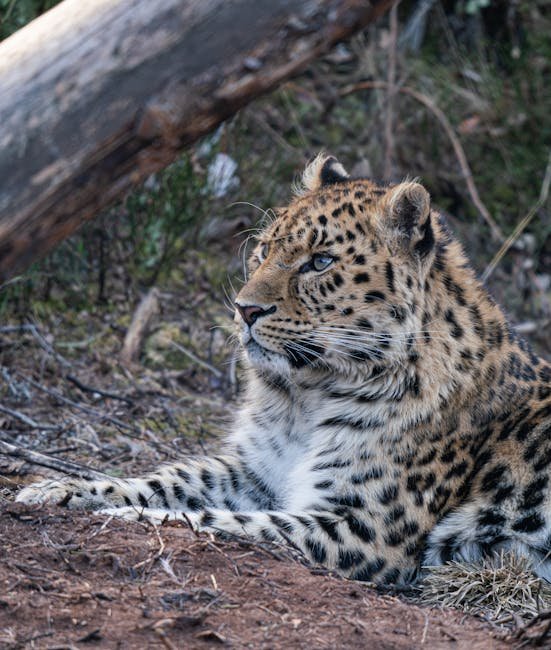 Embracing the Journey (image credits: pexels)