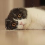 Detect Subtle Changes