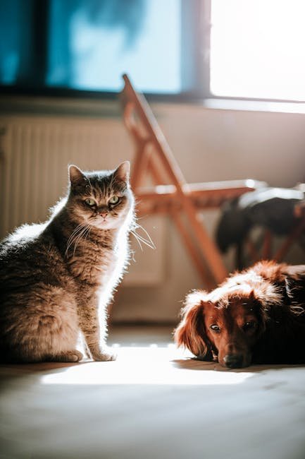 Comparisons with Canine Detection (image credits: pexels)