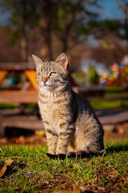 Personalizing the Space (image credits: pexels)