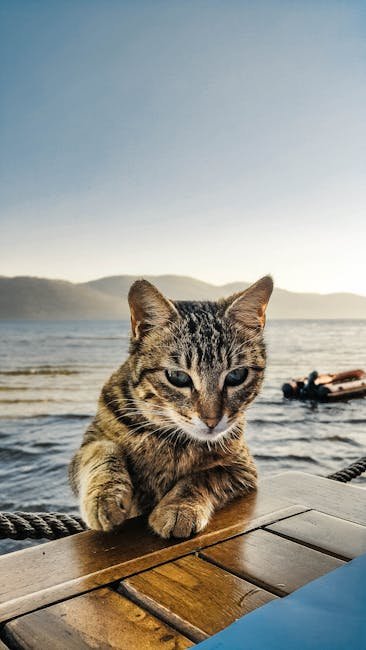 Water Temperature (image credits: pexels)