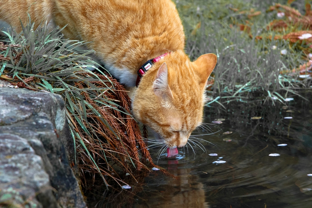 Enhanced Taste and Smell (image credits: rawpixel)
