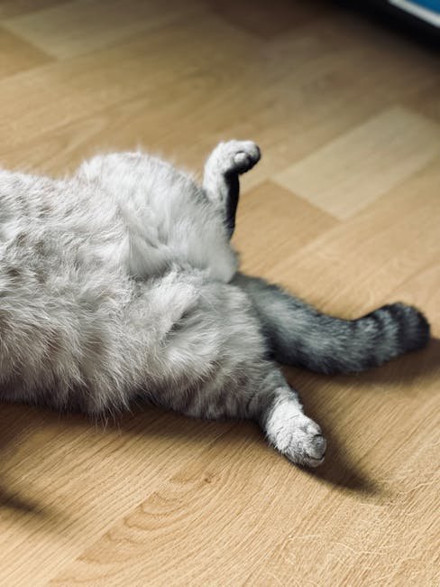 Exposing Their Belly (image credits: pexels)