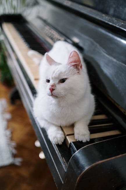 Recognizing Household Sounds (image credits: pexels)