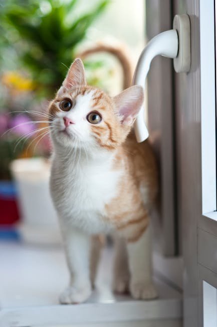 Monitoring and Adjusting Strategies (image credits: pexels)