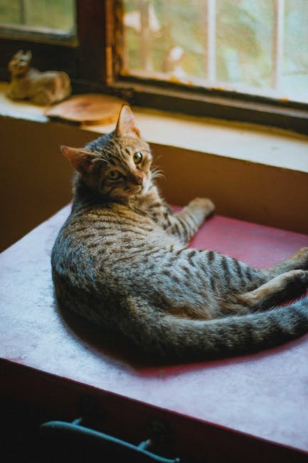 Tail Flicking: A Mix of Annoyance and Intrigue (image credits: pexels)