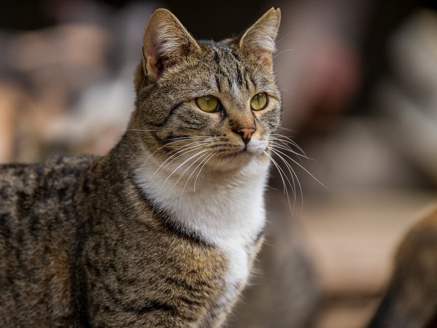 The Disturbance of Loud Noises (image credits: pexels)
