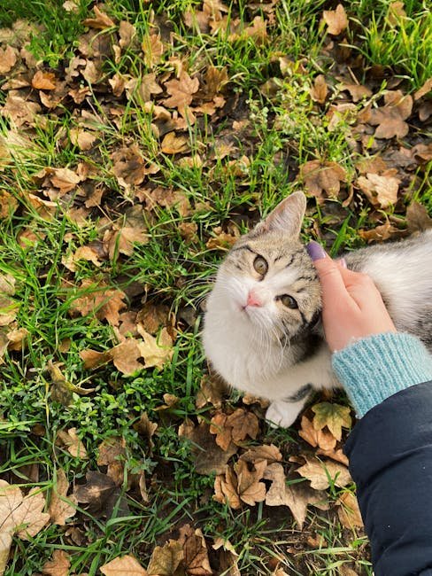 12. Seasonal Changes (image credits: pexels)