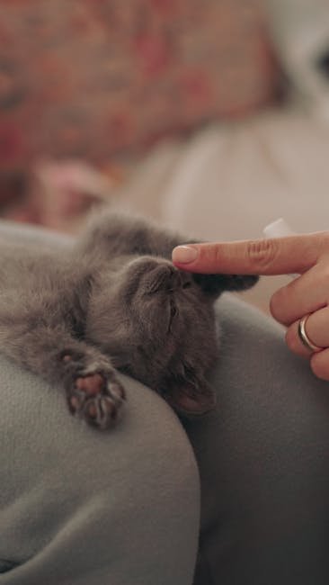 Use Gentle Touch (image credits: pexels)