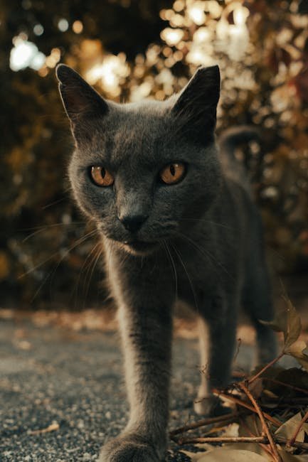 Limit Changes (image credits: pexels)