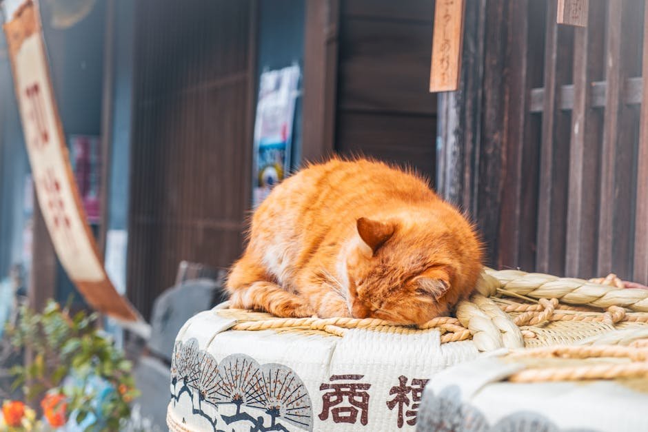 Frequent Changes in Environment (image credits: pexels)