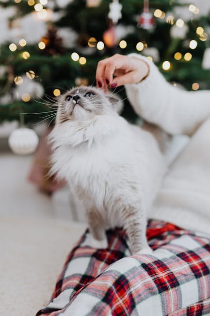 Territorial Comfort (image credits: pexels)
