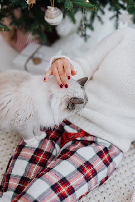 Enjoyment of Soft Surfaces (image credits: pexels)