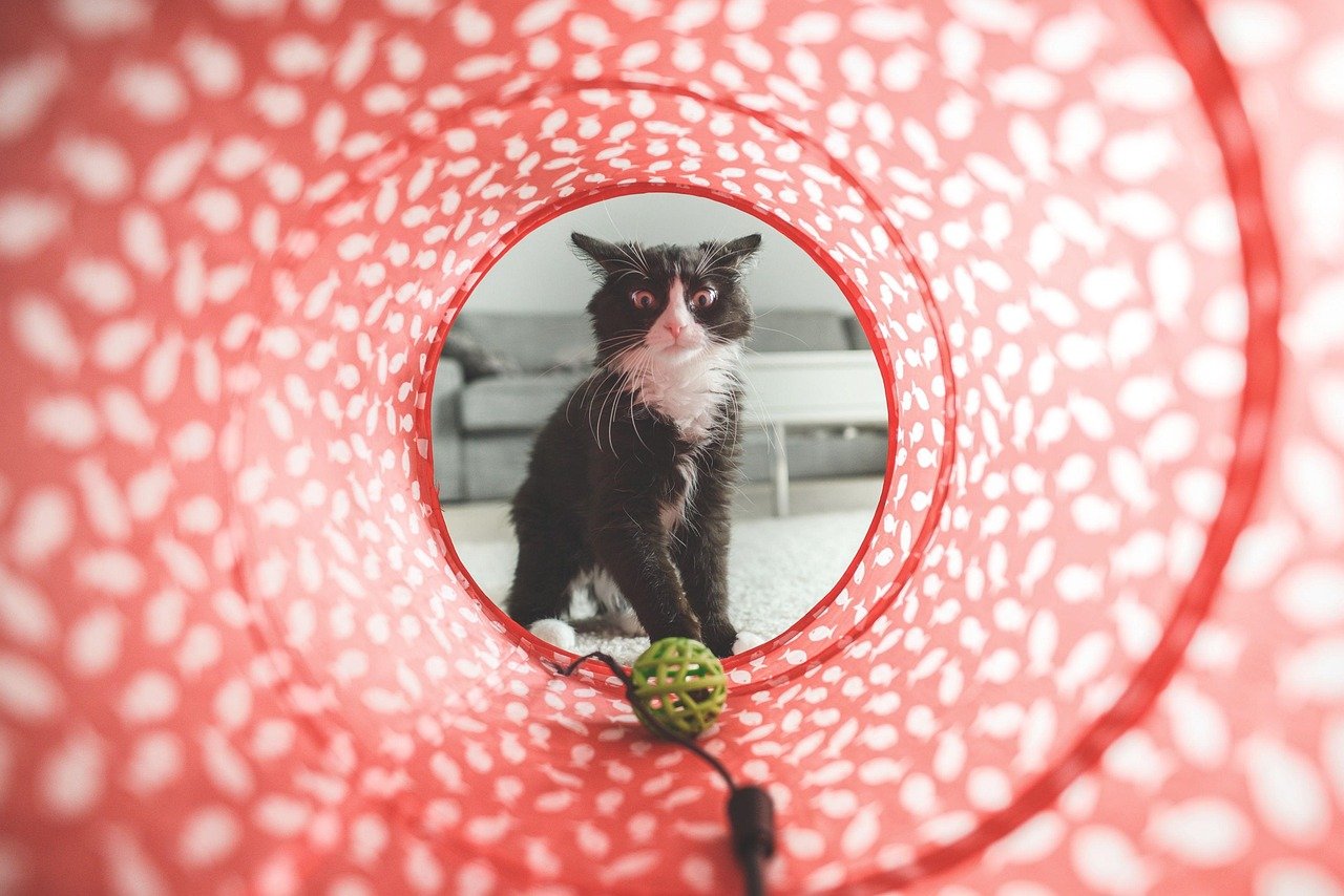 6. Use Household Items as Toys