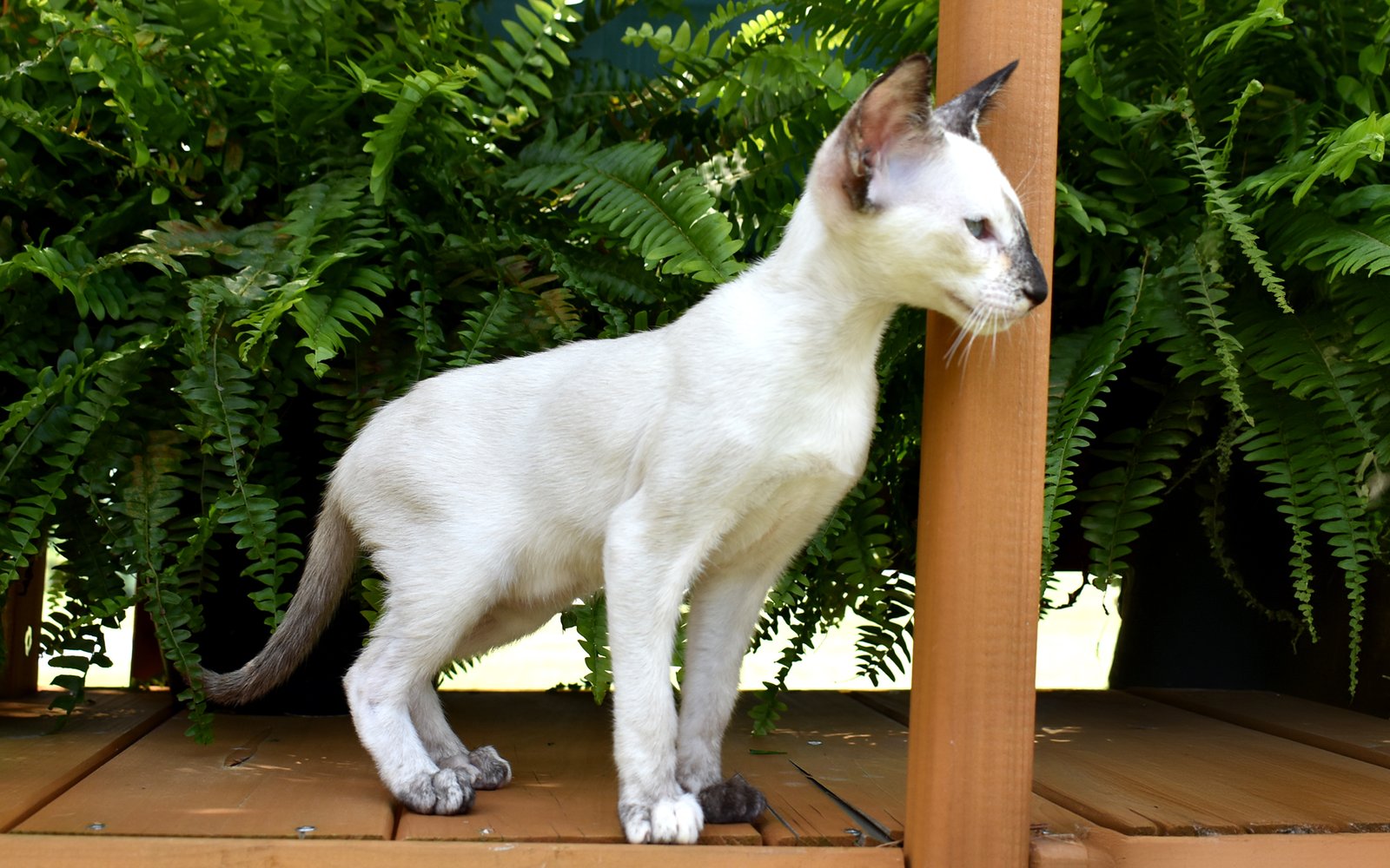Understanding and Respecting Boundaries (image credits: wikimedia)
