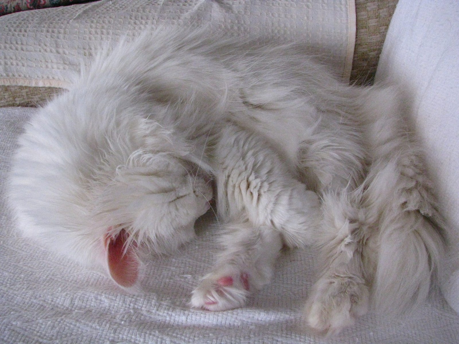 The Influence of Age on Sleep (image credits: wikimedia)
