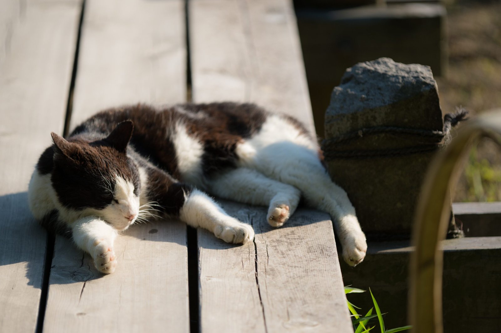 How Weather Influences Sleep (image credits: wikimedia)