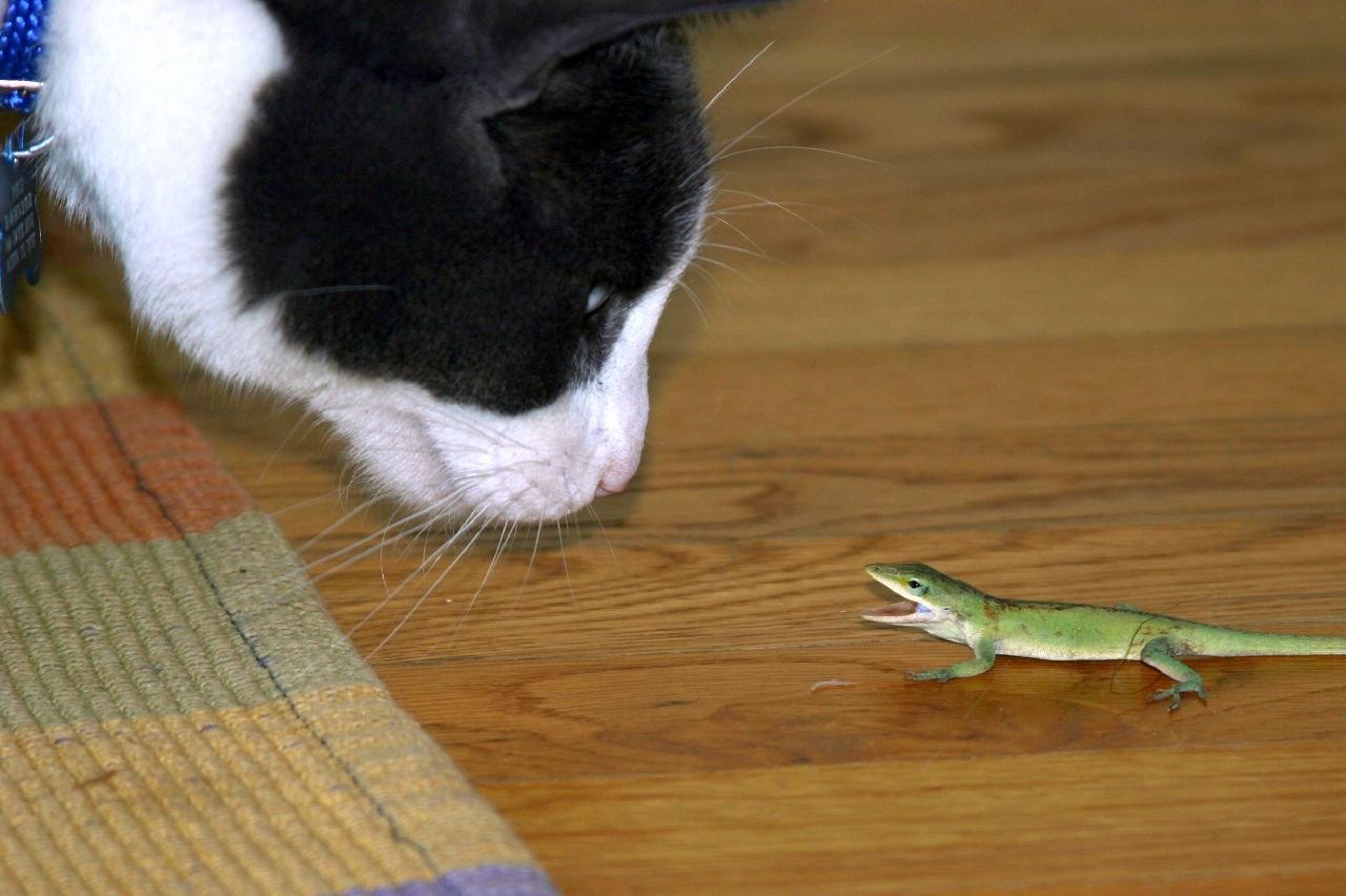 7. Talk to Them (image credits: wikimedia)