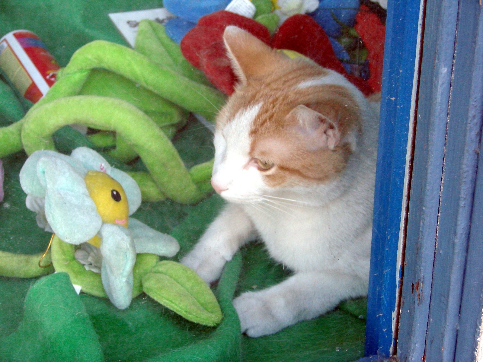Establishing a Morning Greeting Ritual (image credits: wikimedia)