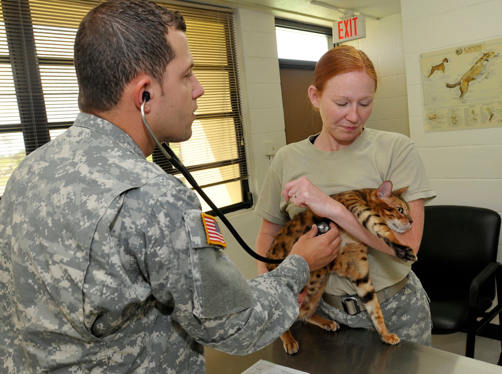 Scheduling a Pre-Travel Veterinary Checkup (image credits: wikimedia)
