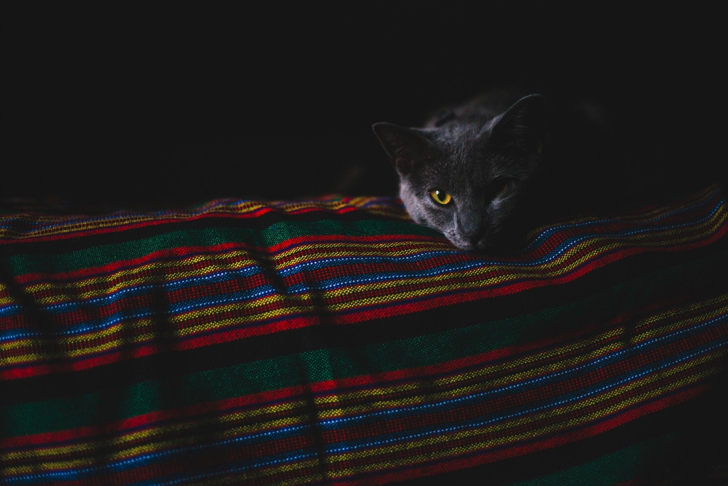 4. The Playful Use of Color (image credits: rawpixel)