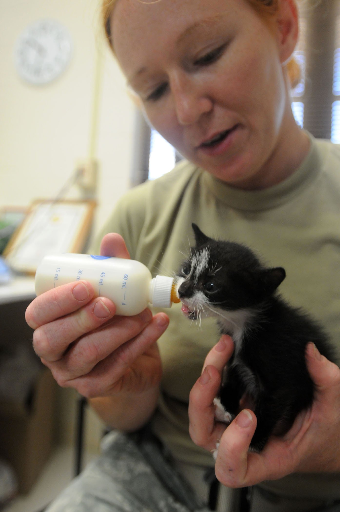 Regular Vet Visits (image credits: wikimedia)