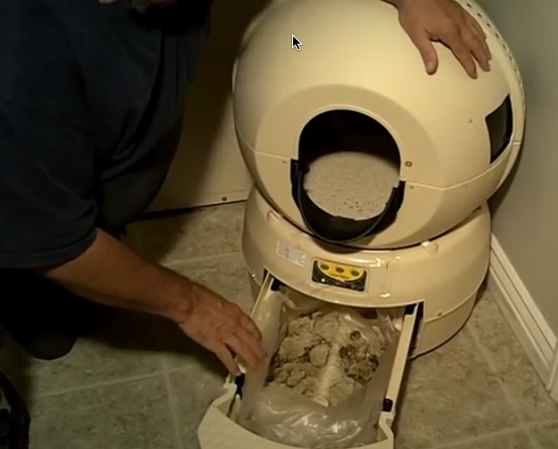 Self-Cleaning Litter Boxes (image credits: wikimedia)