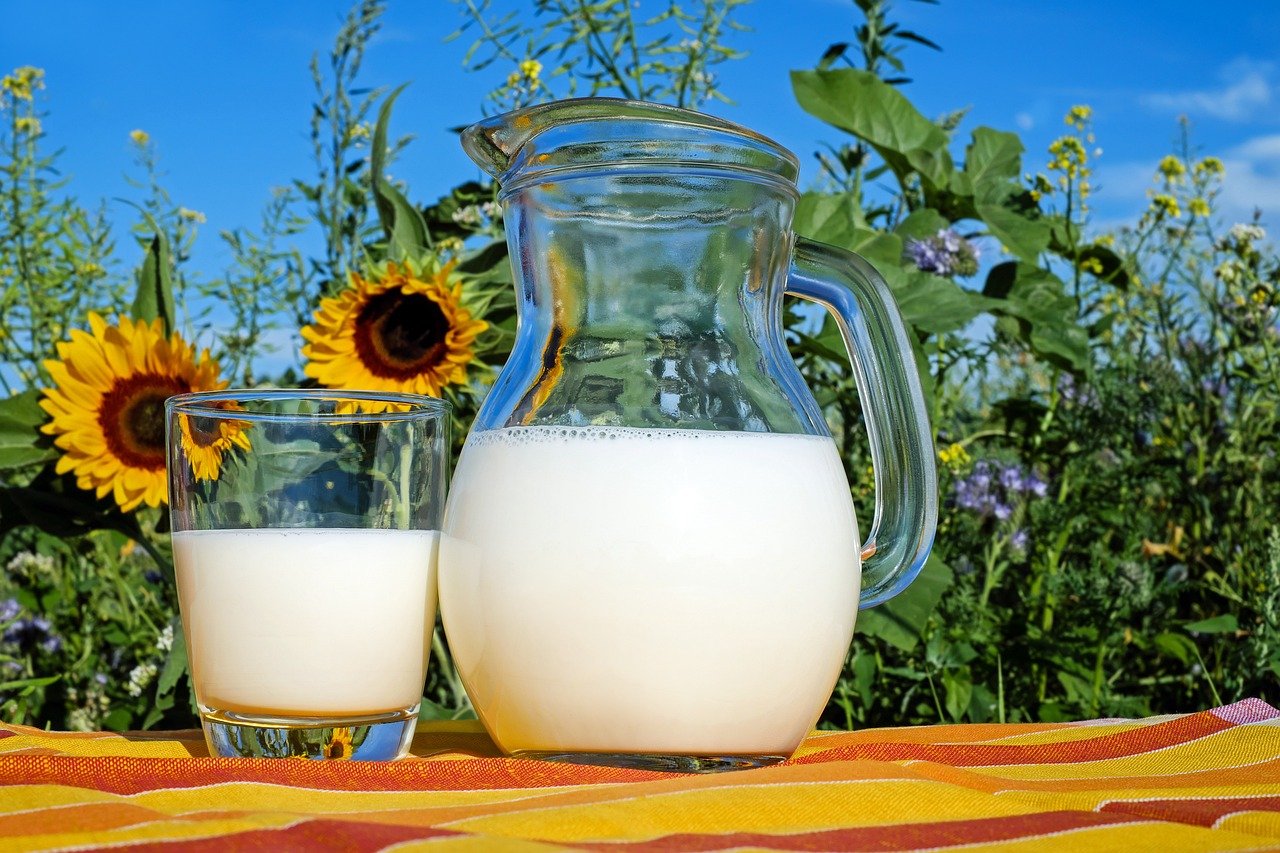 Dairy Products: Not As Cat-Friendly As You Think (image credits: pixabay)