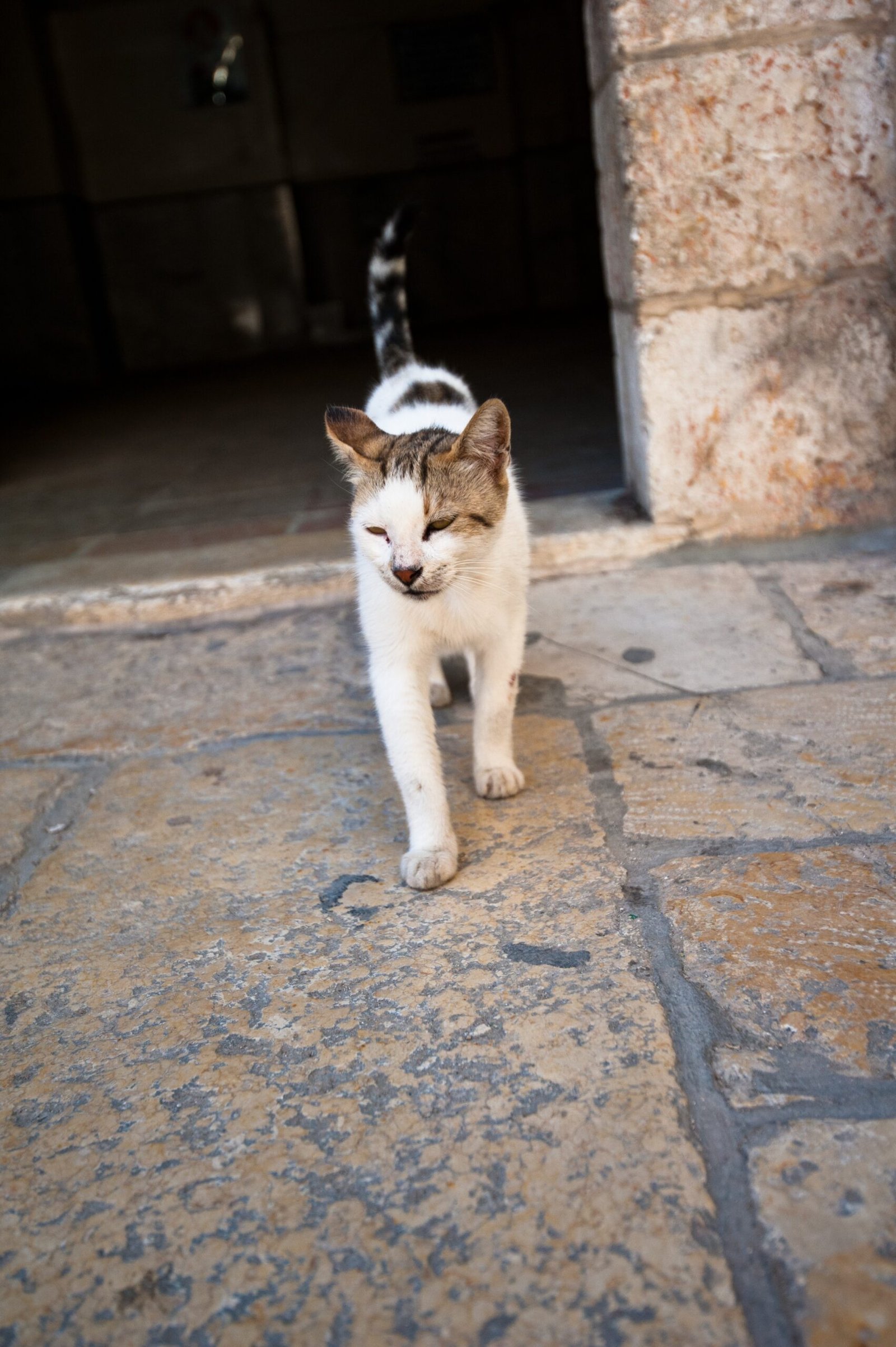 Destructive Behavior: A Call for Help (image credits: wikimedia)