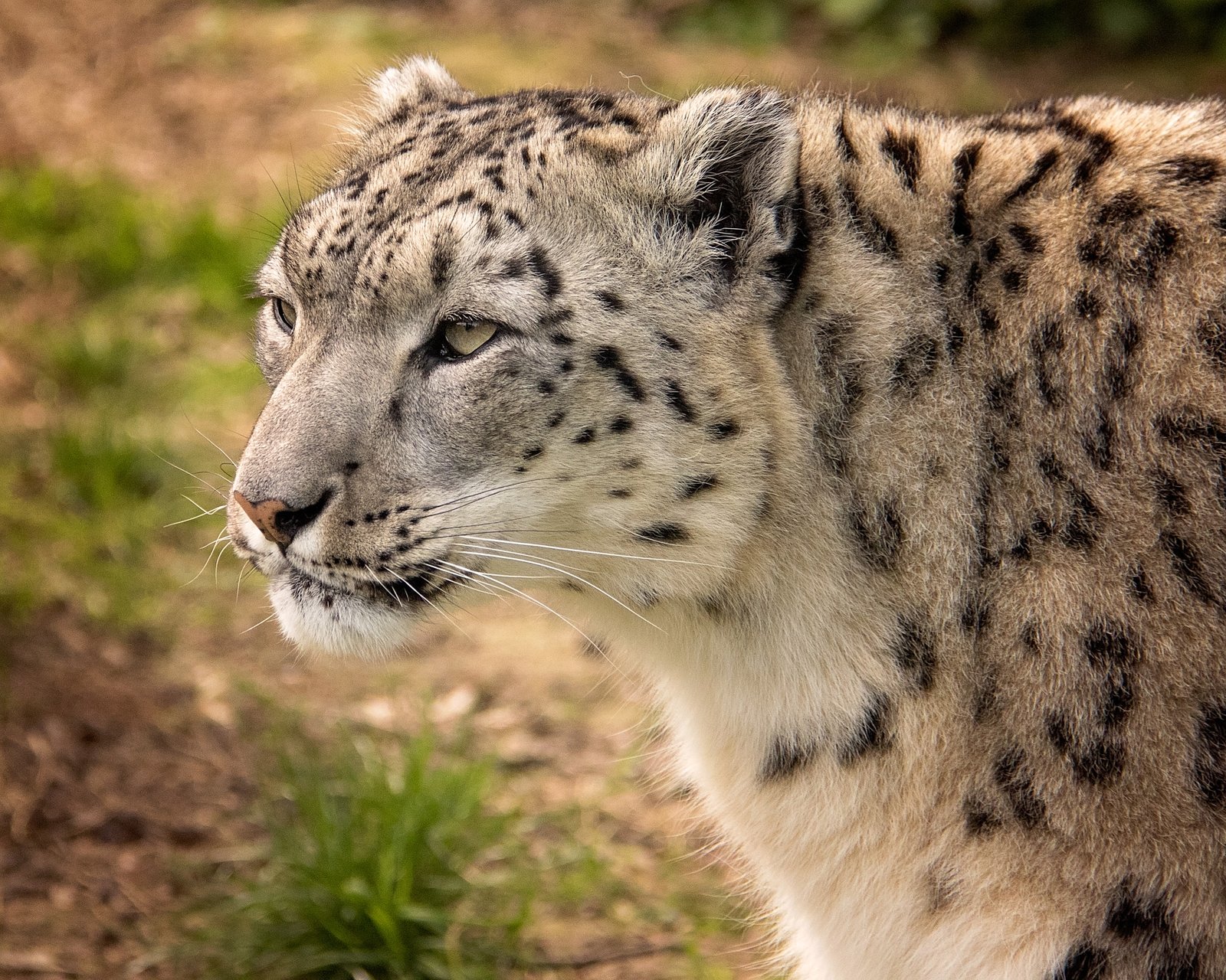 The Importance of Protected Areas (image credits: wikimedia)
